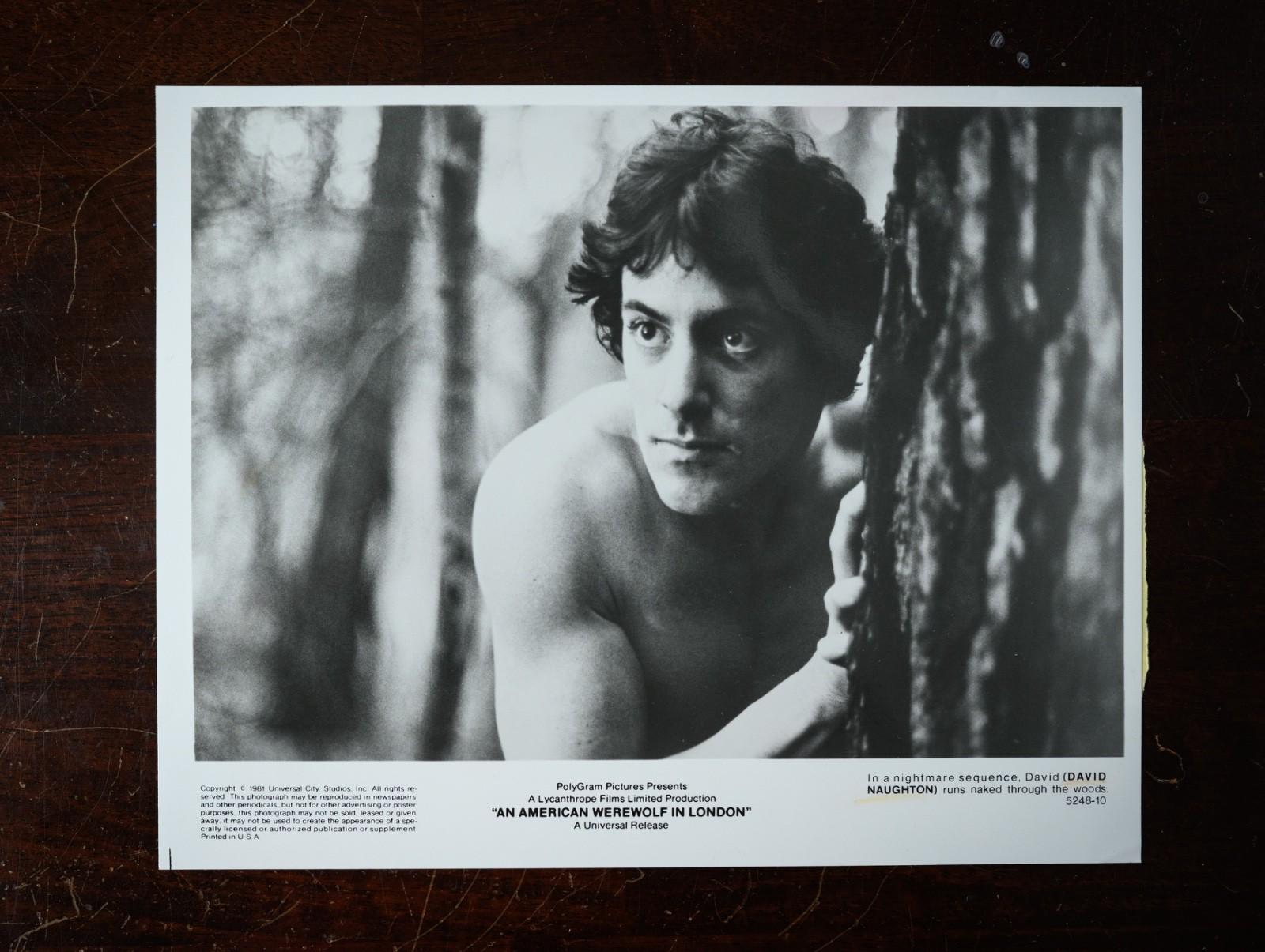 "An American Werewolf in London" (1981) press kit photo - David Naughton