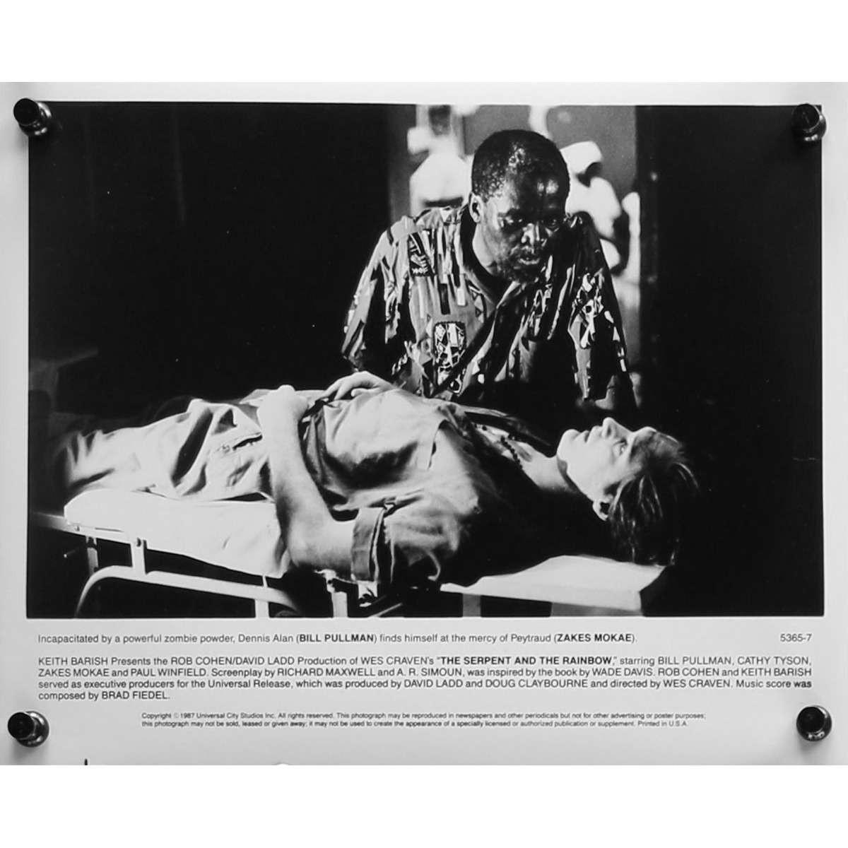THE SERPENT AND THE RAINBOW Original Movie Still N07 - 8x10 in. - 1988 - Wes Cra