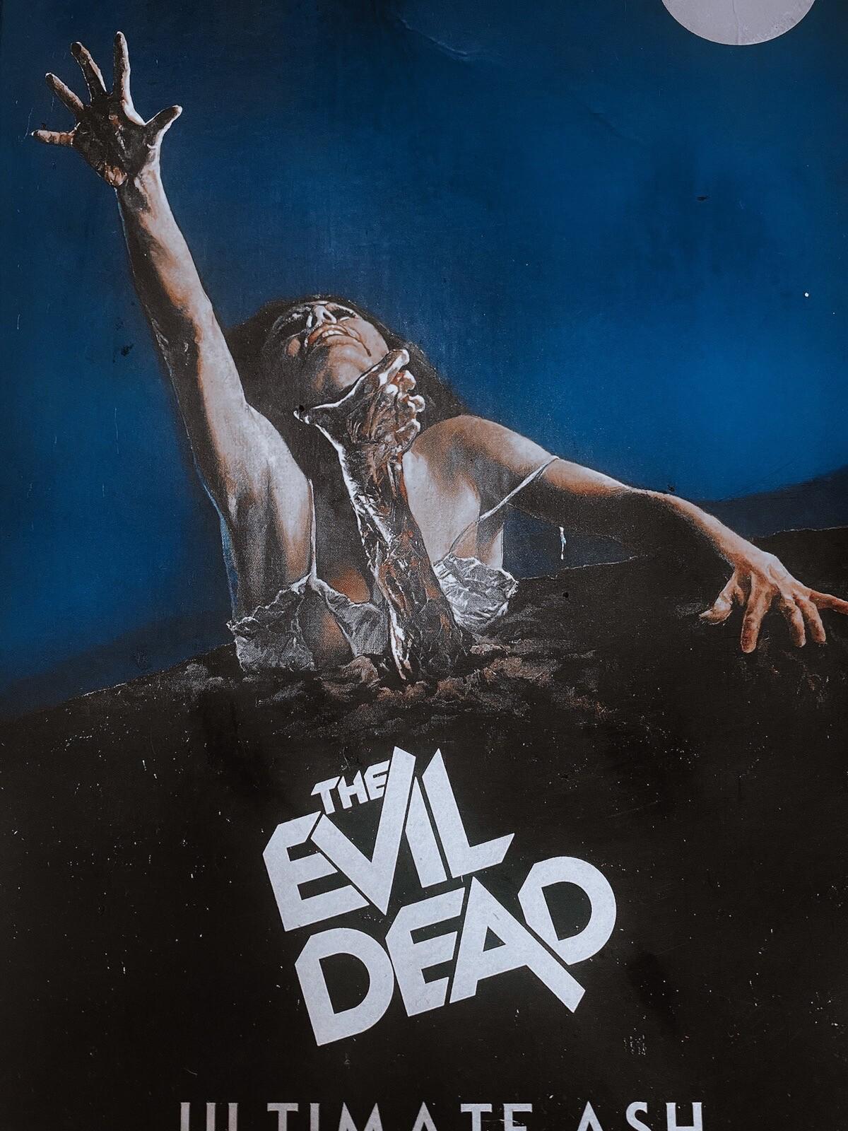 Neca Evil Dead 1981 Ash Williams Action Figure Opened In Good Condition 
