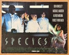 Whitaker Kingsley SPECIES 1995 11x14 Org Lobby Card 4233