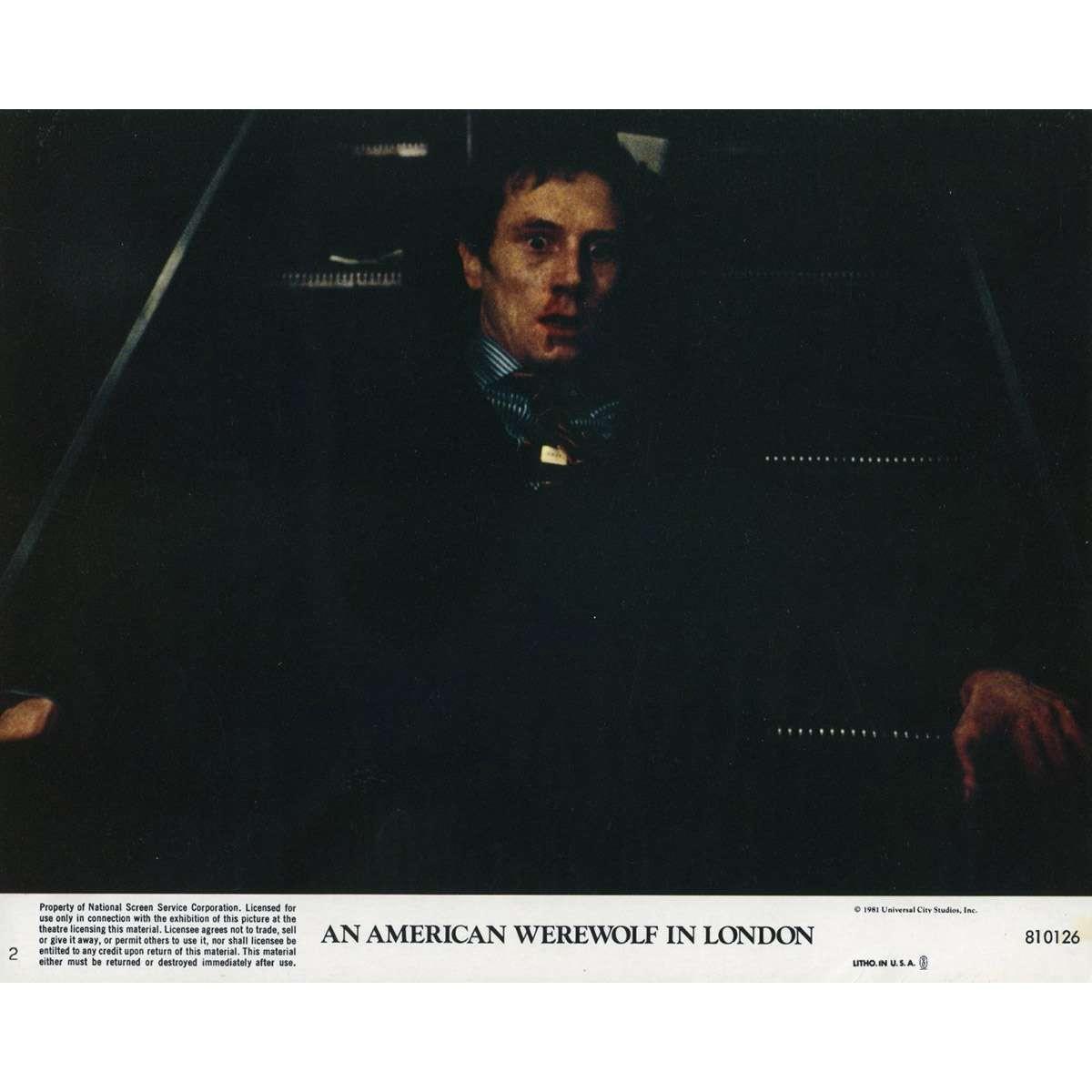 AN AMERICAN WEREWOLF IN LONDON Original Lobby Card N02 - 8x10 in. - 1981 - John