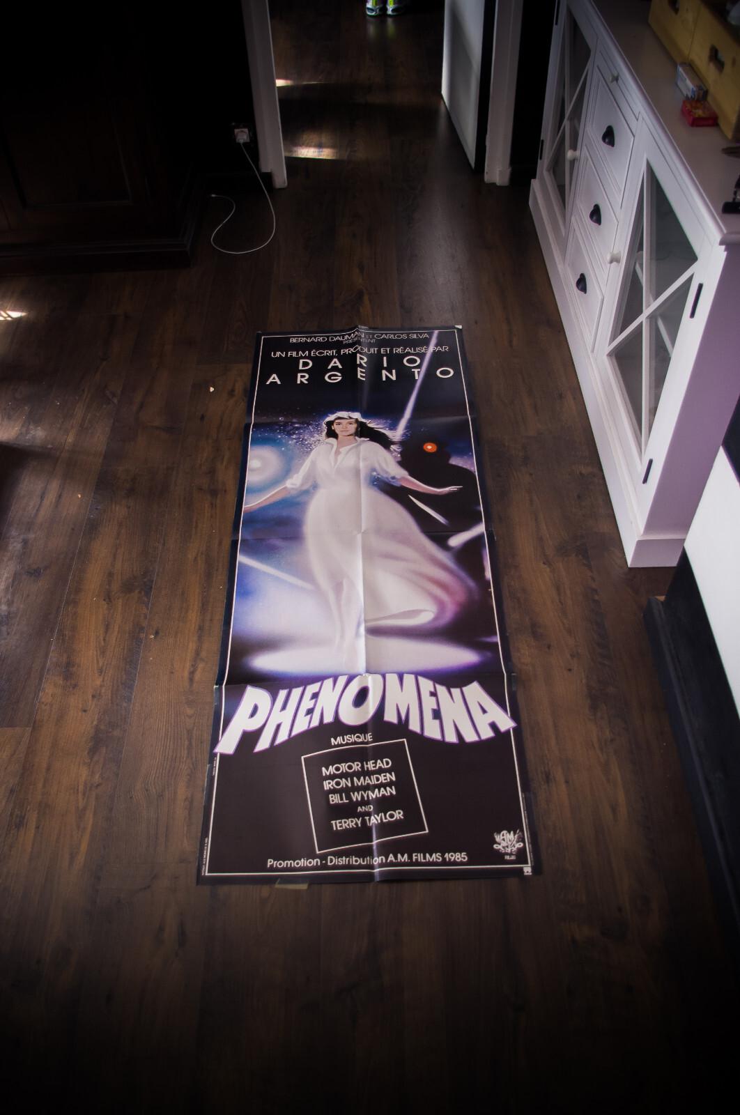 PHENOMENA Dario Argento French Door Vintage Movie Poster Original 1985