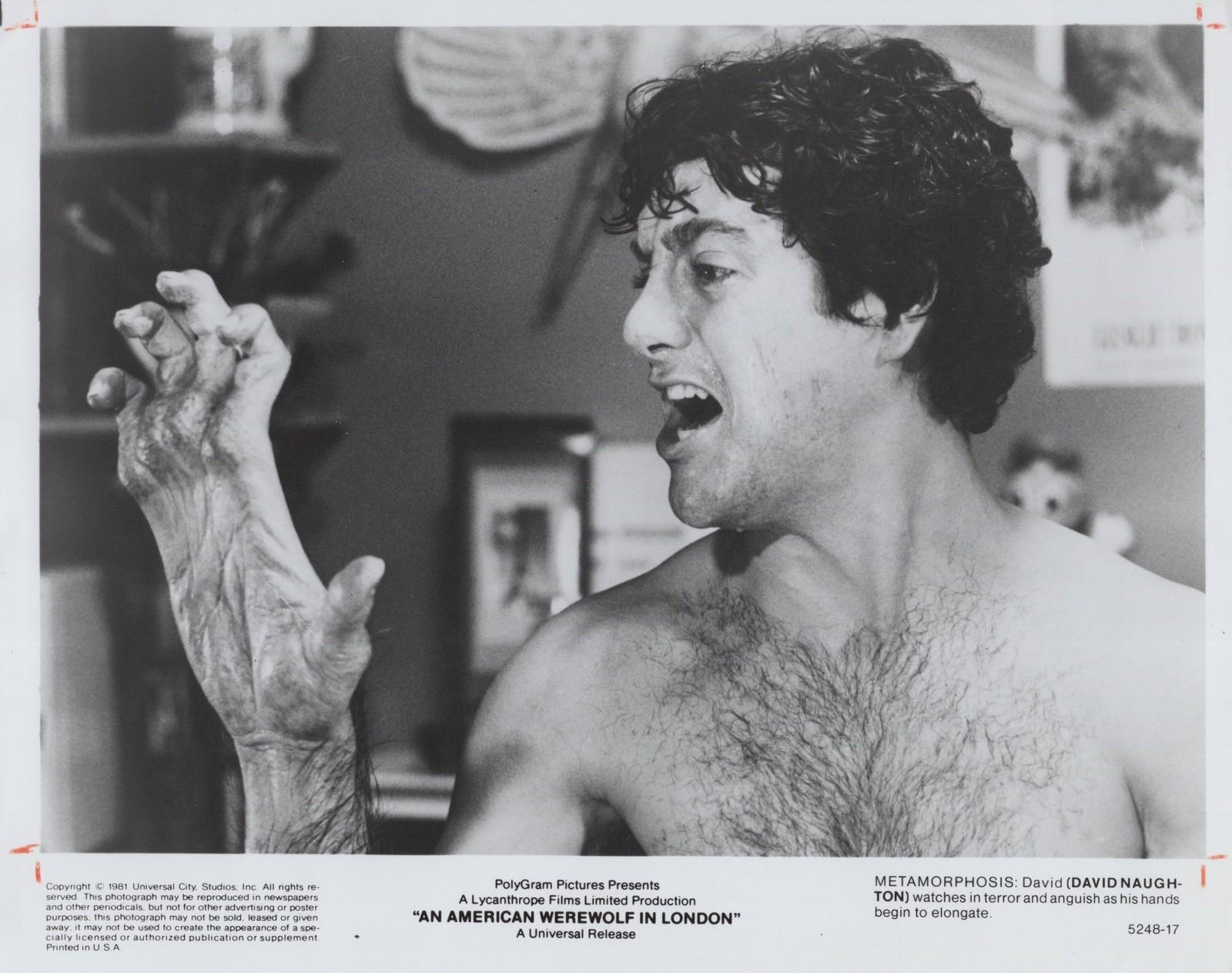 An American Werewolf in London Movie Still 1981 - Original Press Photo
