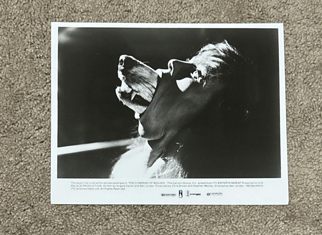 Vintage 1984 "THE COMPANY OF WOLVES" Vtg 8x10 British Movie Press Photo