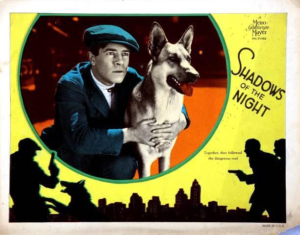 Shadows Of The Night Us Lobby Card Lawrence Gray Old Movie Photo