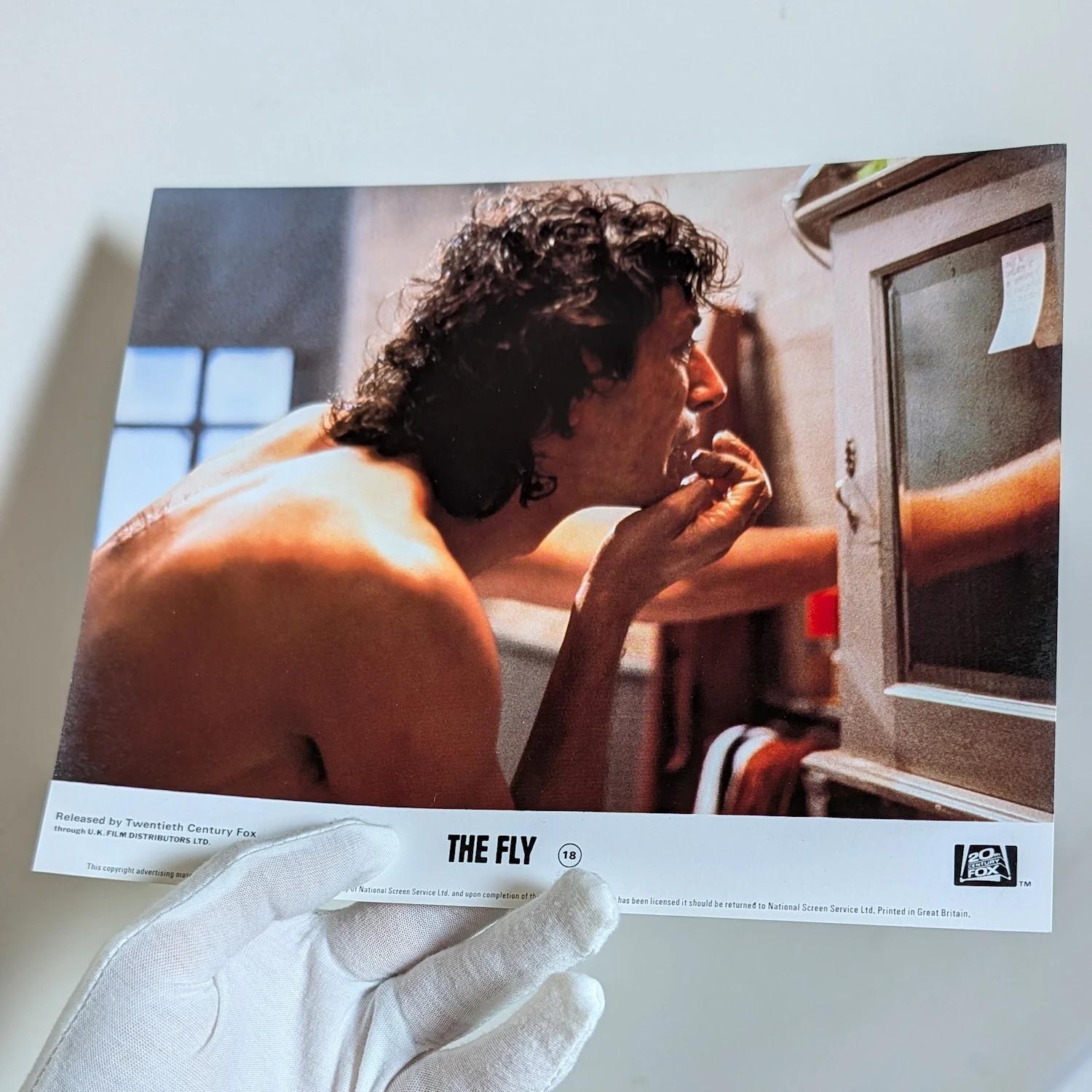 The FLY (1986) Vintage British Front of House Cinema Card ft. Jeff Goldblum 10x8