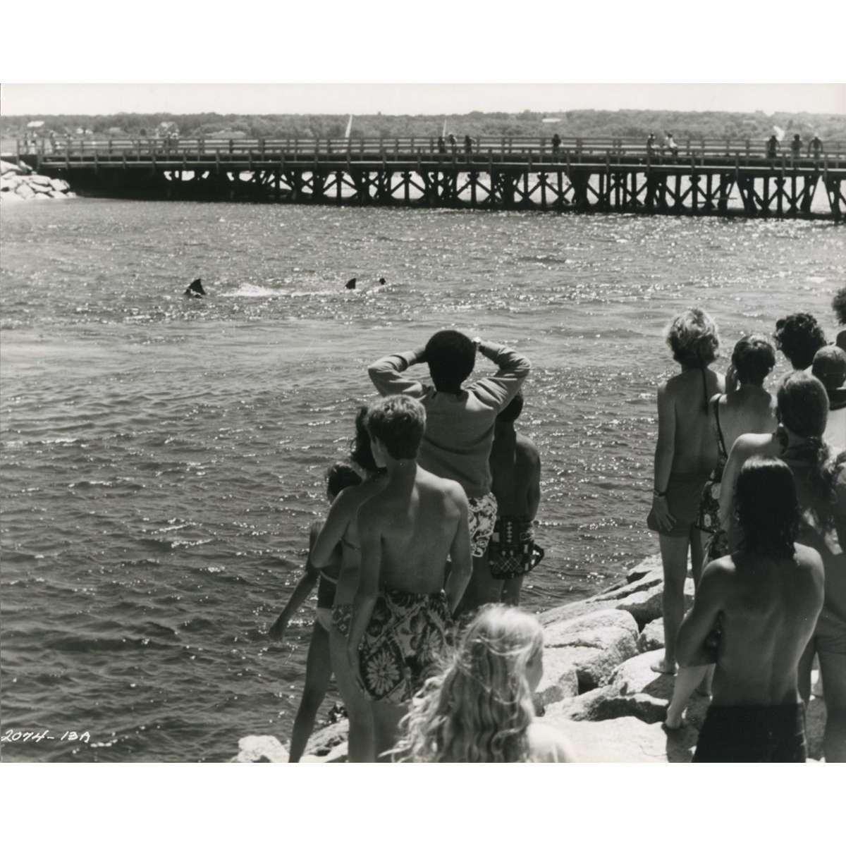 JAWS Original Movie Still 2074-13A - 8x10 in. - 1975 - Steven Spielberg, Roy She