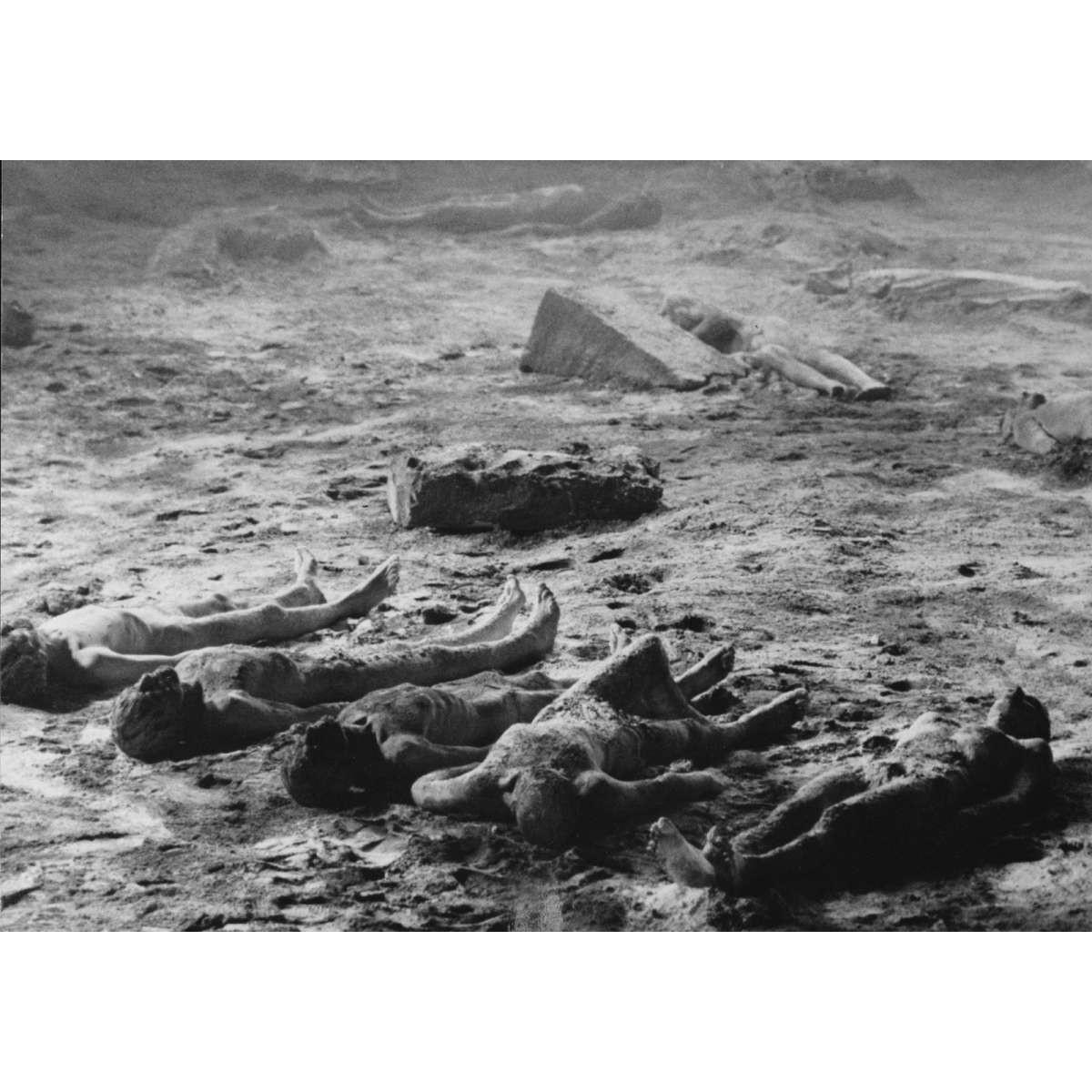 THE BEYOND Original Movie Still  - 5x7 in. - 1981 - Lucio Fulci, Catriona MacCol