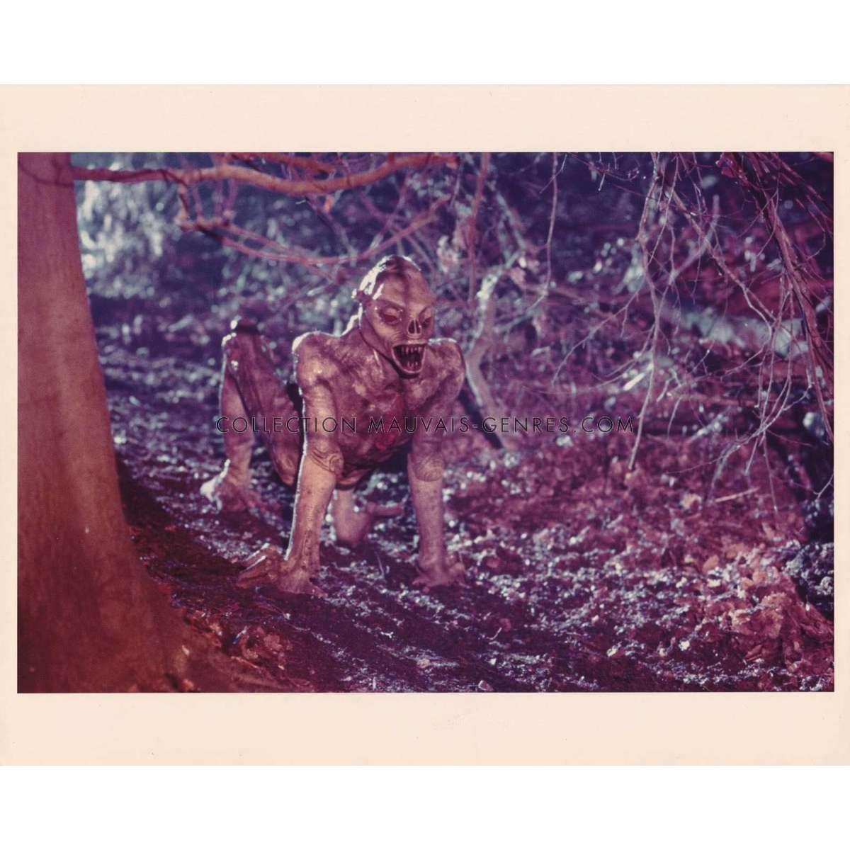 XTRO French Movie Still N02 - 8x10 in. - 1982 - Harry Bromley Davenport, Philip