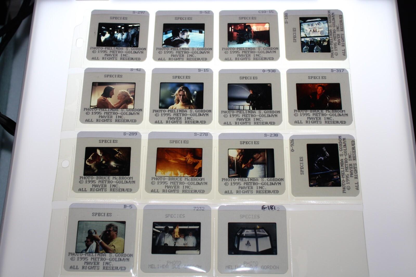 SPECIES - 15 press kit slides Natasha Henstridge Michael Madsen Ben Kingsley