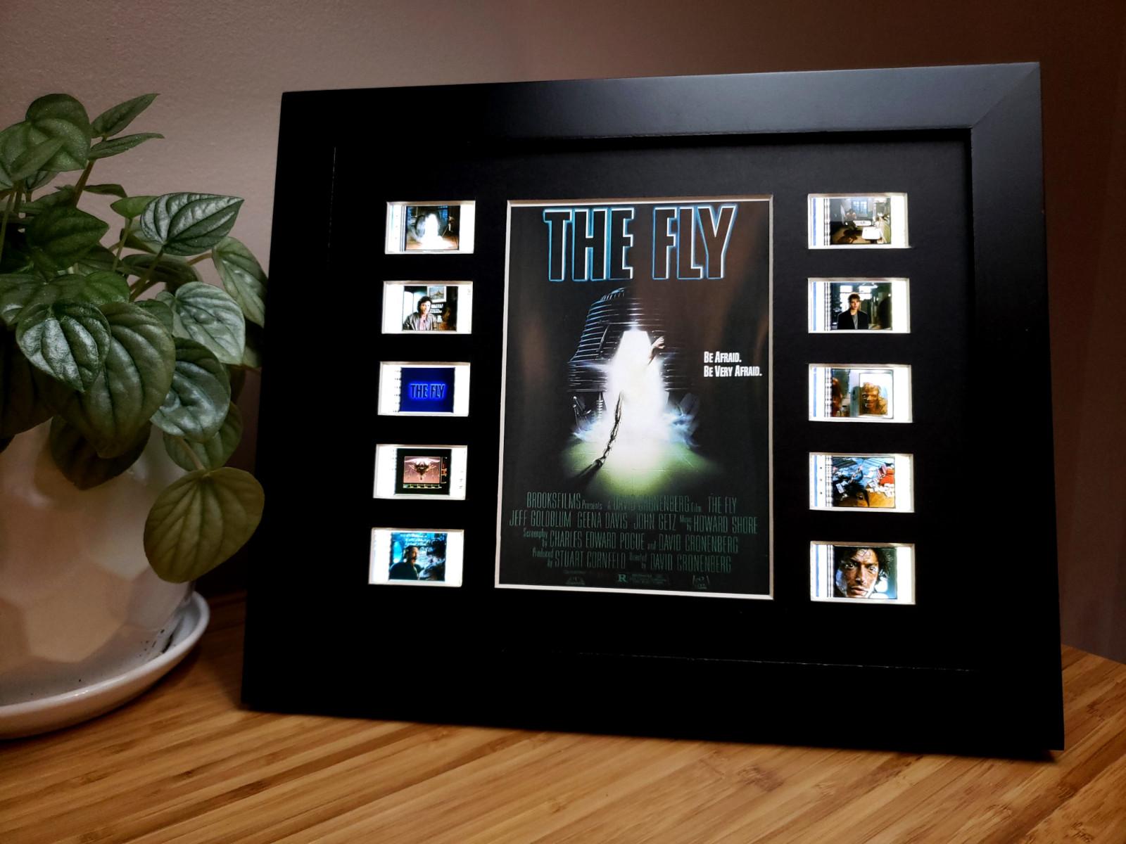 The Fly (1986) Rare Collectible 35mm Film Cell Display
