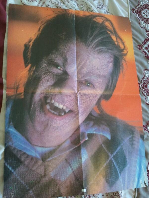 976-EVIL Poster PINHOLES 1988 Robert Englund Horror Movie