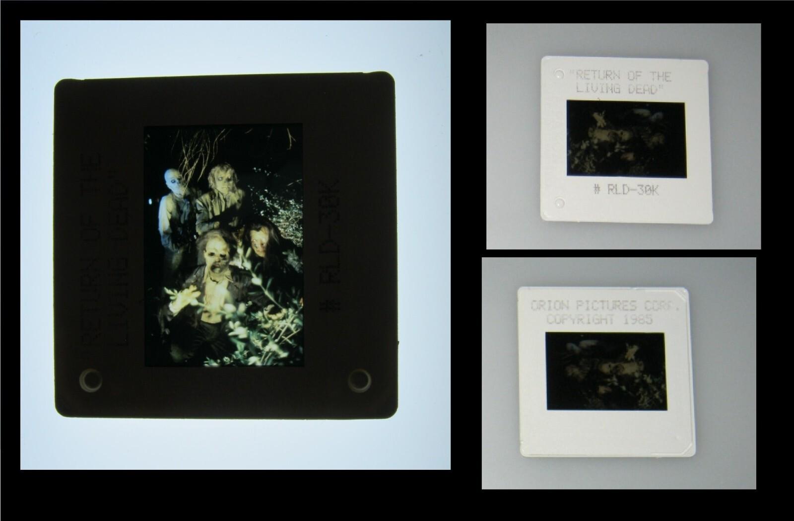 Orig 1985 RETURN OF THE LIVING DEAD 35mm Studio Stamped Press Kit Slide ZOMBIES