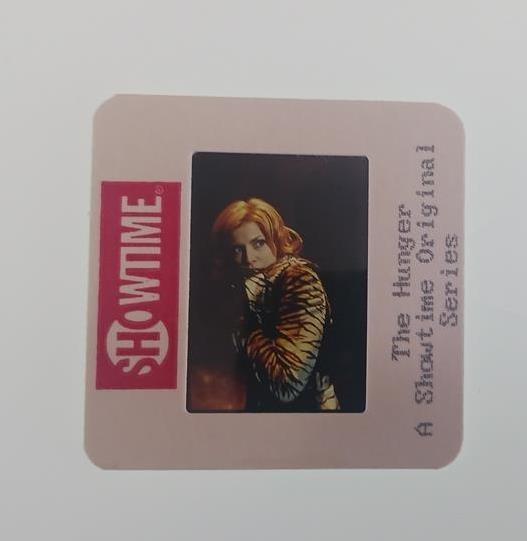 THE HUNGER 1997 SHOWTIME ORIGINAL SERIES PRESS KIT SIX (6) 35MM SLIDES