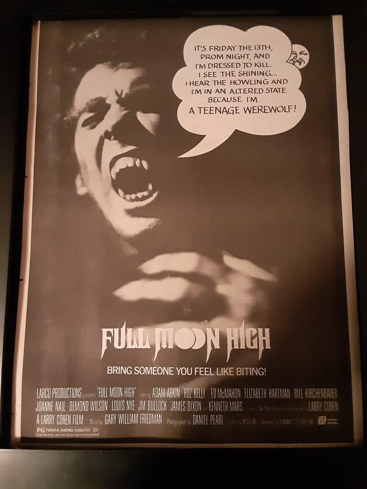 Full Moon High Rare Original Promo Poster Ad Framed!