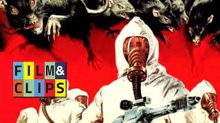 Rats: Night of Terror - Clip Ita by Film&amp;Clips