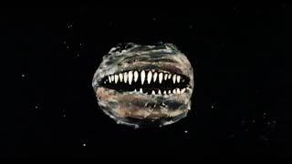 Parasite (1982) | Trailer | Robert Glaudini | Demi Moore | Luca Bercovici