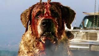 "Cujo" (Episode 28 Clip)