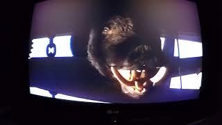 Razorback Scene VHS (Australia) #razorback #retro #movie #nostalgia