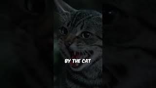 Can the Cat Save Her in Time? #shorts #viral