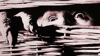 Basket Case(1982) Movie Review