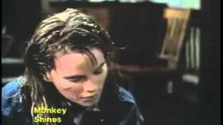 Monkey Shines (1988)