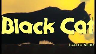 🎬 Lucio Fulci’s THE BLACK CAT (1981) A Feline Gothic Horror from the Depths of Poe | Clip 4K