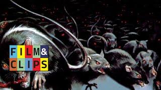 Rats - Night of Terror - Intro Ita - Clip by Film&amp;Clips