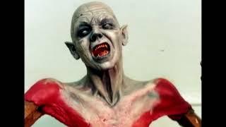 Evil Dead 2 : Behind the Screams (Bruce Campbell, Sarah Berry, Dan Hicks, Kassie Wesley)