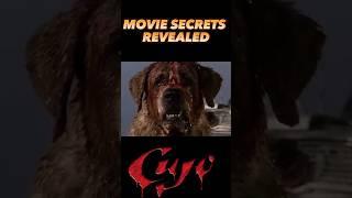 #behindthescenes #behindthescene ##cujo #stephenking #film #shorts #viral #secret #secrets #movie