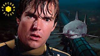 The Shark Explodes (Final Scene) | Jaws 3D