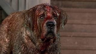 Behind the Scenes: Cujo (Teague, 1983) with Dee Wallace and Daniel Hugh Kelly