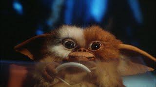 Gremlins (1984) Zach Galligan Phoebe Cates Hoyt Axton Corey Feldman Dick Miller Joe Dante WARPITER