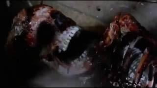 Q - The Winged Serpent, 1982, fantasy / horror, full movie, english language